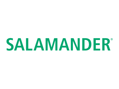 Logo 1